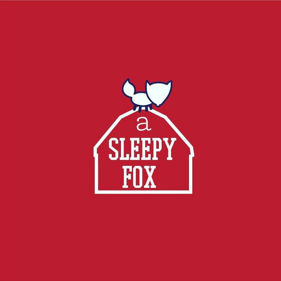 A Sleepy Fox Hostel Ню Делхи Екстериор снимка