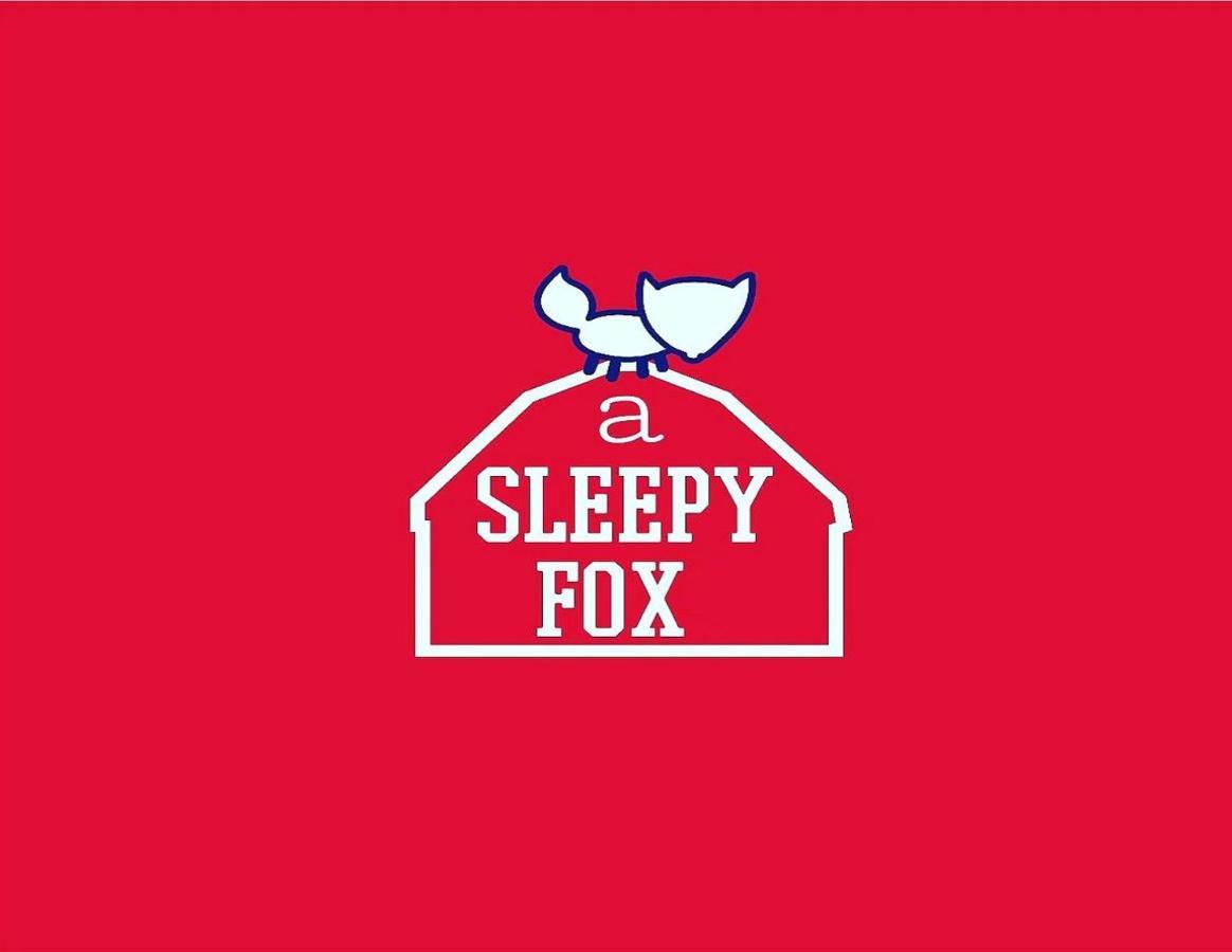 A Sleepy Fox Hostel Ню Делхи Екстериор снимка