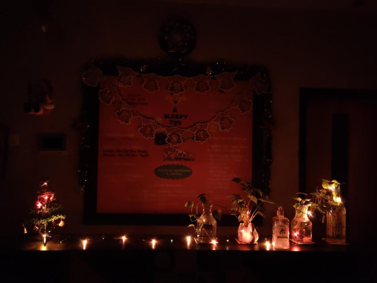 A Sleepy Fox Hostel Ню Делхи Екстериор снимка